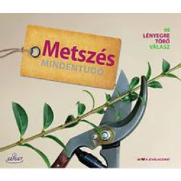 Kert ház otthon
