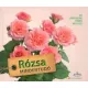 Rózsa mindentudó - 99 lényegretörő válasz