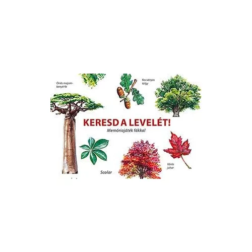 Keresd a levelét! - Memóriajáték fákkal
