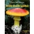 Erdők-mezők gombái - Javított utánnyomás