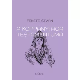 Ifjúsági regény
