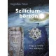 Szilíciumbörtön