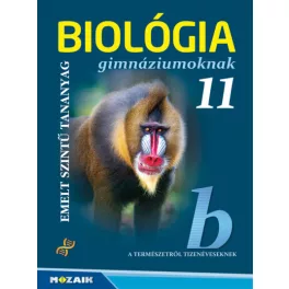 Középiskola 2. évfolyam