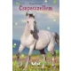 Tilly és Táltos - Csapatszellem