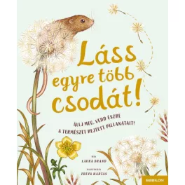 Láss egyre több csodát!