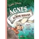 Ágnes és az álmok kulcs