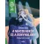 A macskagróf és a konyhalány