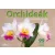 Orchideák