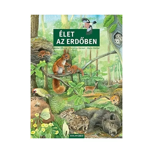 Élet az erdőben