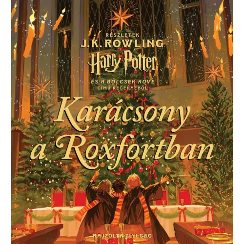 Karácsony a Roxfortban - SÉRÜLT