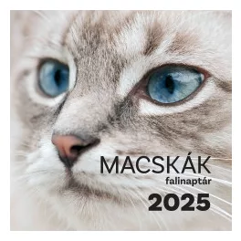 Macskák falinaptár - 2025