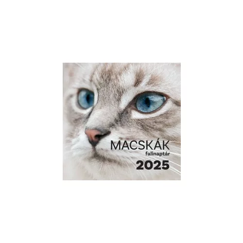 Macskák falinaptár - 2025