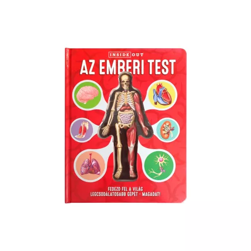 Az emberi test