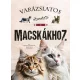 Varázslatos útmutató a macskákhoz