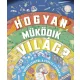 Hogyan működik a világ?