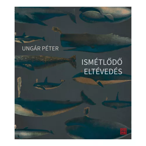 Ismétlődő eltévedés