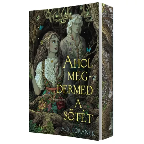 Ahol megdermed a sötét