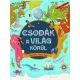 Csodák a világ körül