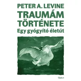Traumám története
