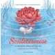 Születésmese