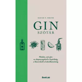 Ginszótár
