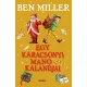 Egy karácsonyi manó kalandjai