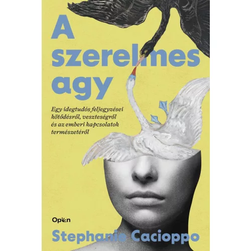 A szerelmes agy