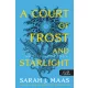 A Court of Frost and Starlight – Fagy és csillagfény udvara (Tüskék és rózsák udvara 4.)