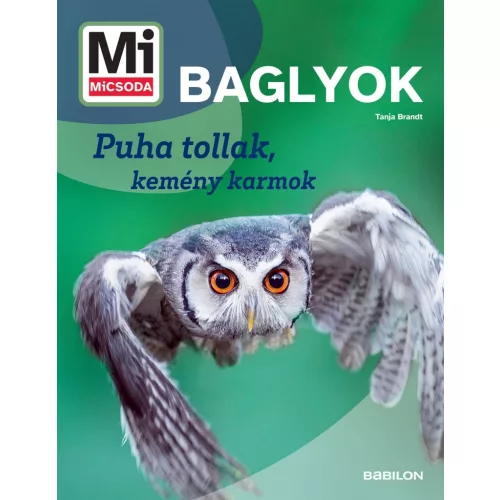 Mi MICSODA Baglyok