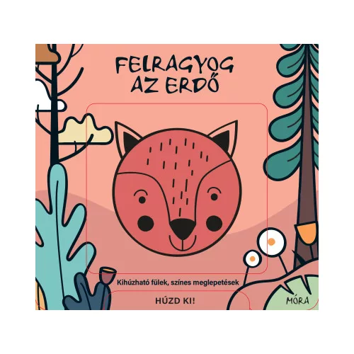 Felragyog az erdő