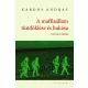 A maffiaállam tündöklése és bukása