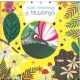 Nézd megnövök! - A pillangó