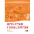 Nyelvtan fogalomtár 5-8. osztályosoknak
